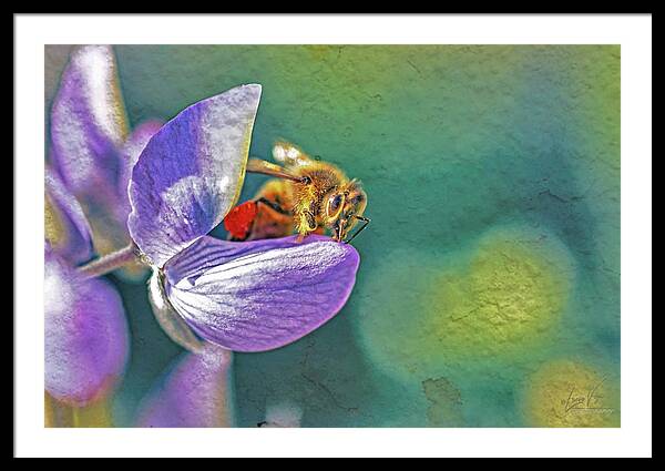 Rough Art Wall Layer of a Bee on a Flower - Framed Print
