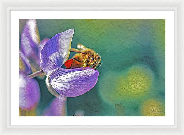 Rough Art Wall Layer of a Bee on a Flower - Framed Print