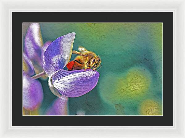 Rough Art Wall Layer of a Bee on a Flower - Framed Print
