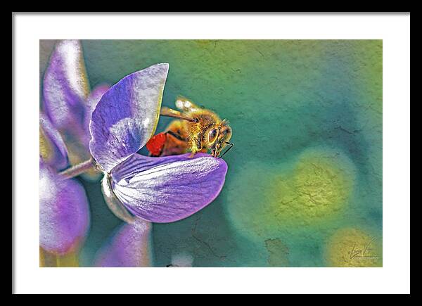 Rough Art Wall Layer of a Bee on a Flower - Framed Print