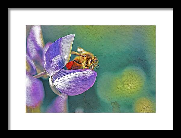 Rough Art Wall Layer of a Bee on a Flower - Framed Print