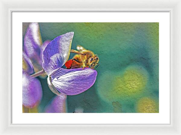 Rough Art Wall Layer of a Bee on a Flower - Framed Print