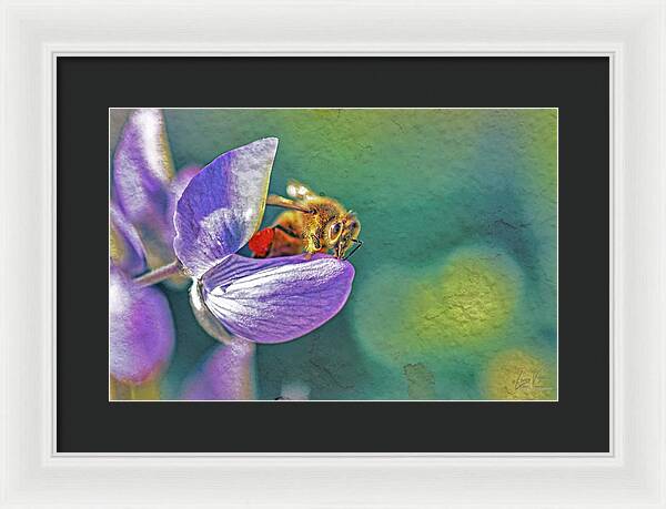 Rough Art Wall Layer of a Bee on a Flower - Framed Print