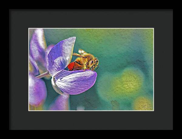 Rough Art Wall Layer of a Bee on a Flower - Framed Print