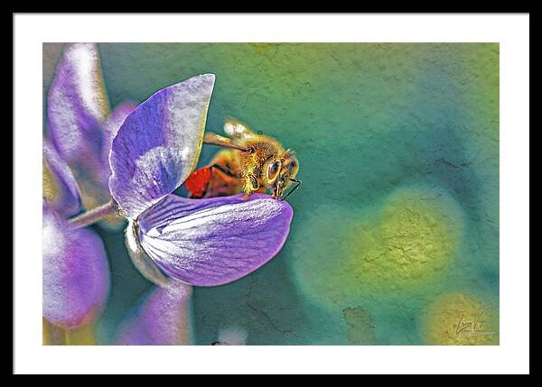 Rough Art Wall Layer of a Bee on a Flower - Framed Print