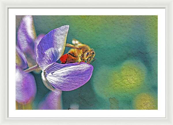 Rough Art Wall Layer of a Bee on a Flower - Framed Print