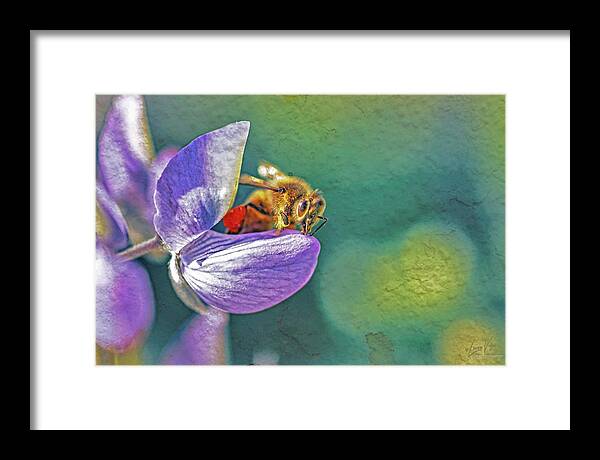 Rough Art Wall Layer of a Bee on a Flower - Framed Print
