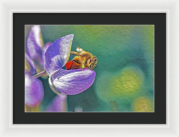 Rough Art Wall Layer of a Bee on a Flower - Framed Print
