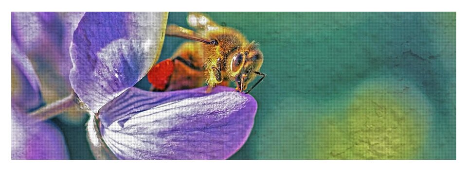 Rough Art Wall Layer of a Bee on a Flower - Yoga Mat