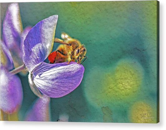 Rough Art Wall Layer of a Bee on a Flower - Acrylic Print