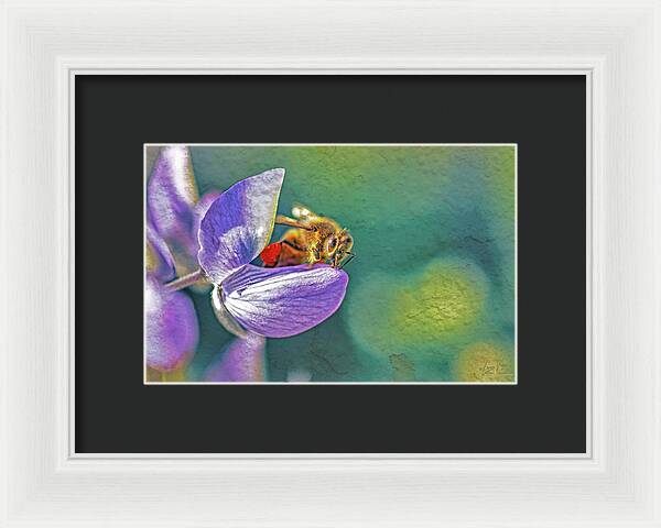 Rough Art Wall Layer of a Bee on a Flower - Framed Print