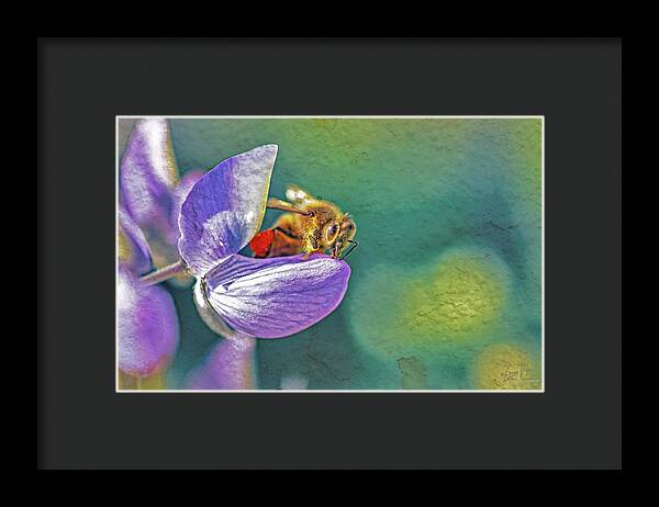 Rough Art Wall Layer of a Bee on a Flower - Framed Print