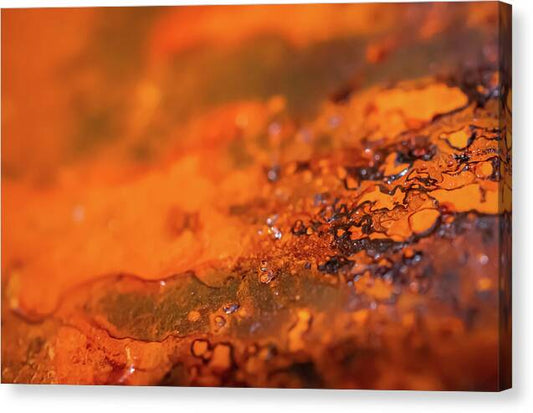 Rusted Close Up Art - Canvas Print