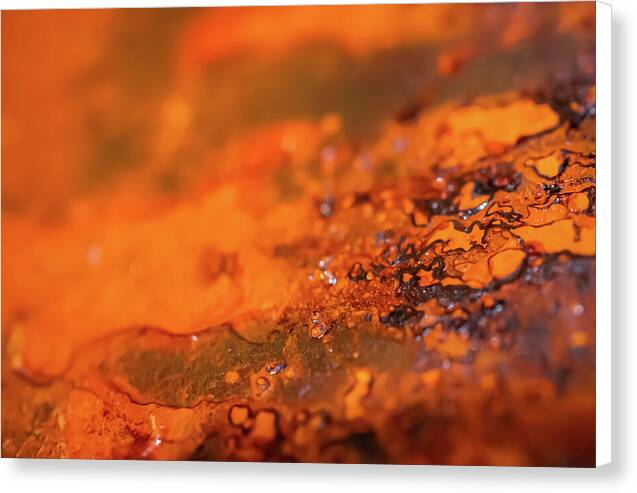 Rusted Close Up Art - Canvas Print