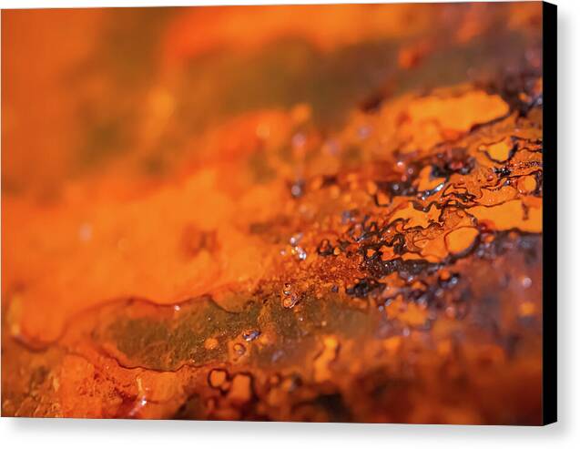 Rusted Close Up Art - Canvas Print