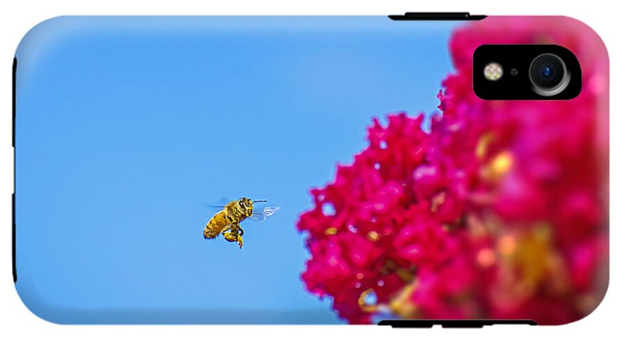 Say Hello to Henry the Bee - Phone Case