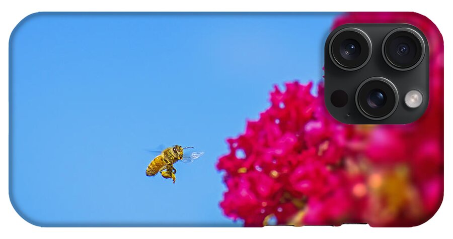 Say Hello to Henry the Bee - Phone Case