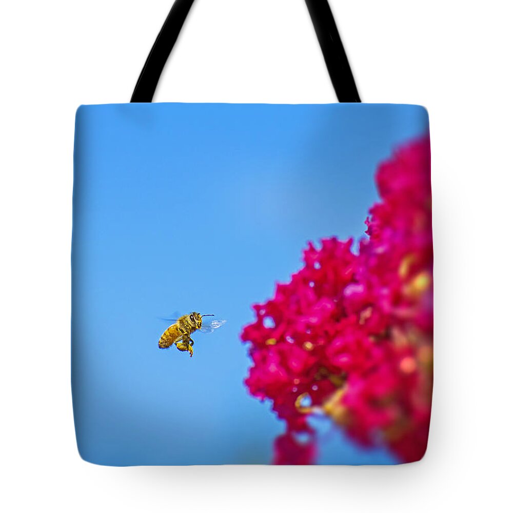 Say Hello to Henry the Bee - Tote Bag