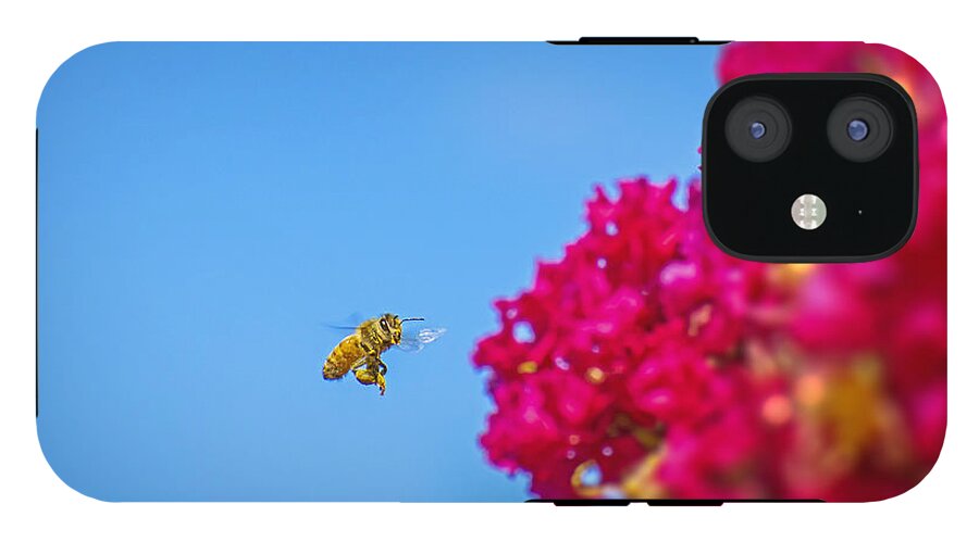 Say Hello to Henry the Bee - Phone Case