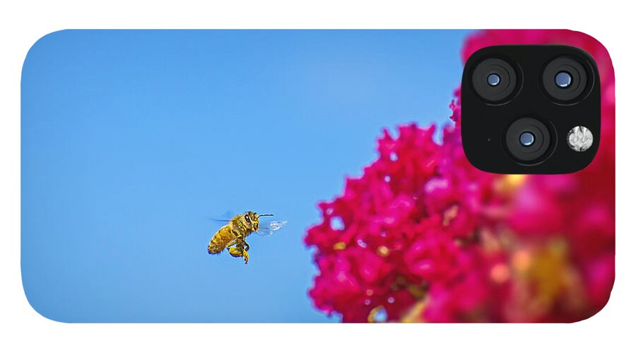 Say Hello to Henry the Bee - Phone Case