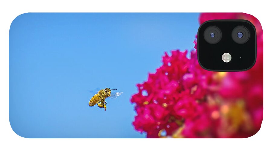 Say Hello to Henry the Bee - Phone Case