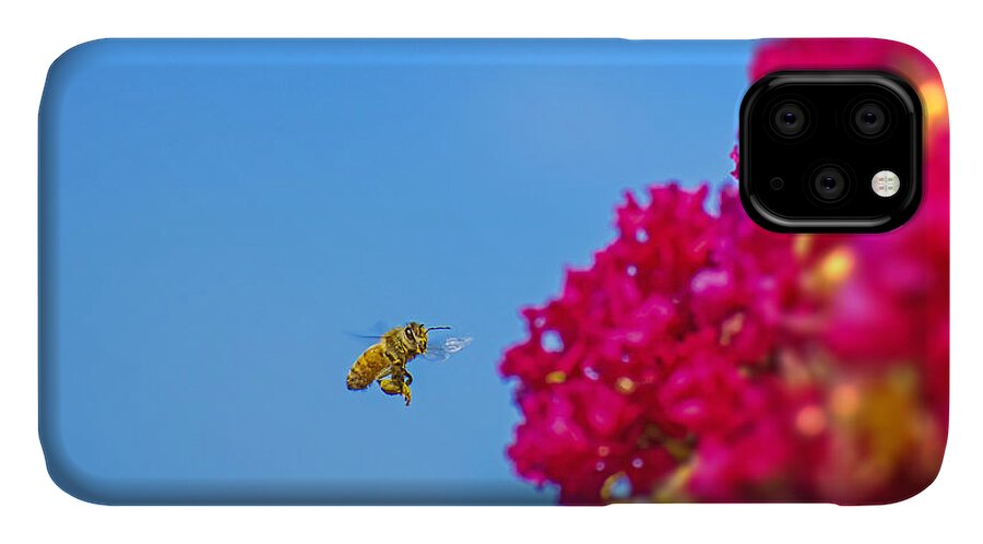 Say Hello to Henry the Bee - Phone Case