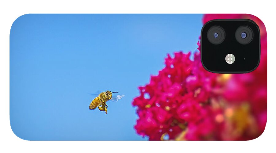 Say Hello to Henry the Bee - Phone Case