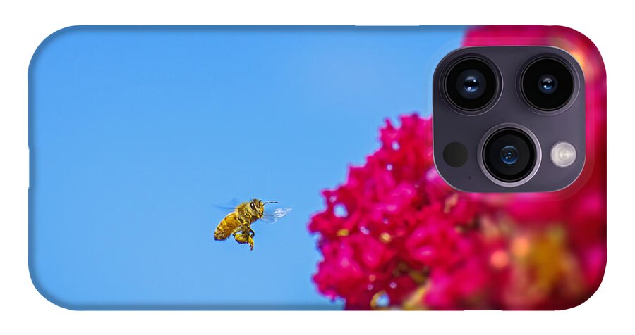 Say Hello to Henry the Bee - Phone Case