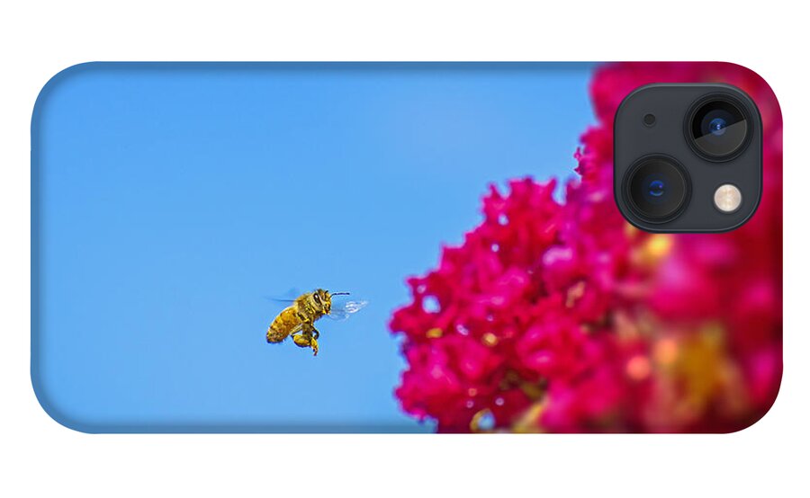 Say Hello to Henry the Bee - Phone Case