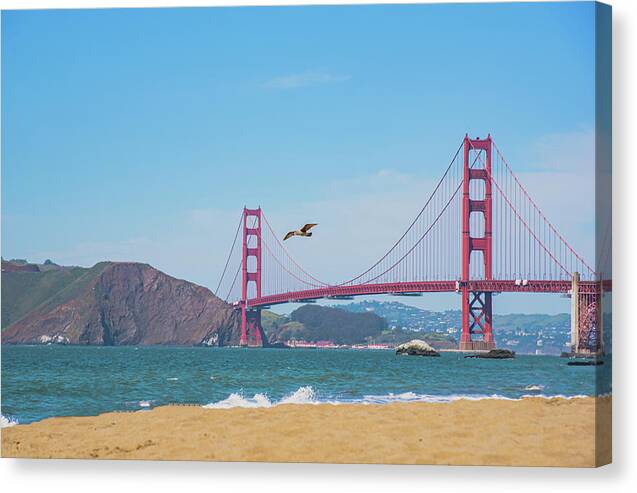 Seagull flying over Golden Gate Bridge  - Canvas Print