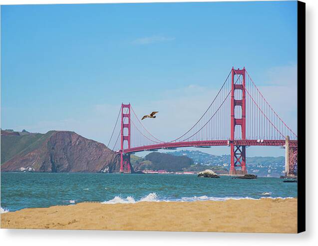 Seagull flying over Golden Gate Bridge  - Canvas Print