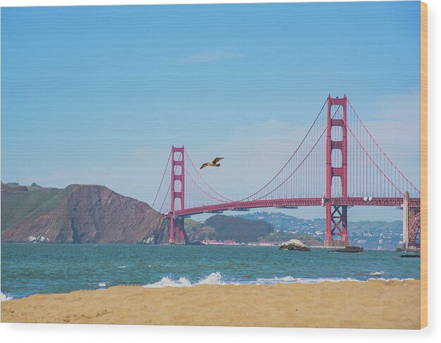 Seagull flying over Golden Gate Bridge  - Wood Print