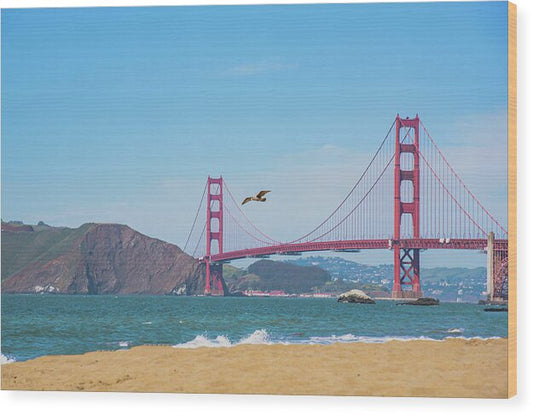 Seagull flying over Golden Gate Bridge  - Wood Print