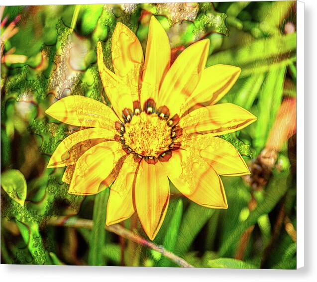 Single Yellow Flower with Waterdrops Overlay - Canvas Print
