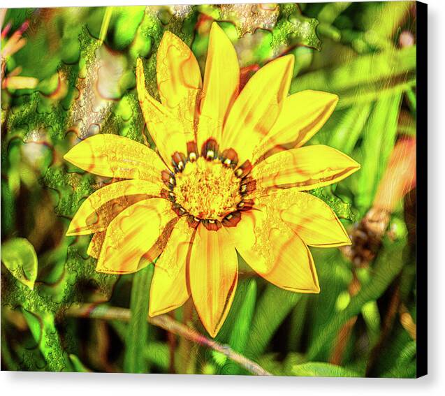Single Yellow Flower with Waterdrops Overlay - Canvas Print