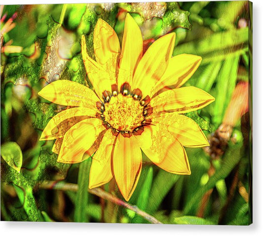 Single Yellow Flower with Waterdrops Overlay - Acrylic Print