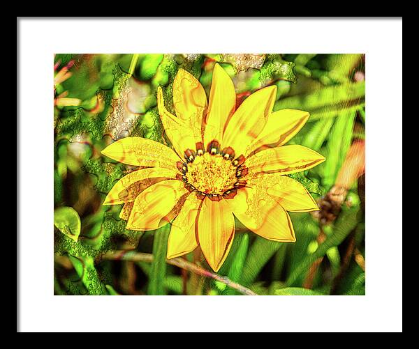 Single Yellow Flower with Waterdrops Overlay - Framed Print