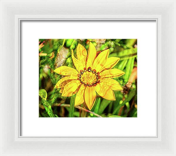 Single Yellow Flower with Waterdrops Overlay - Framed Print