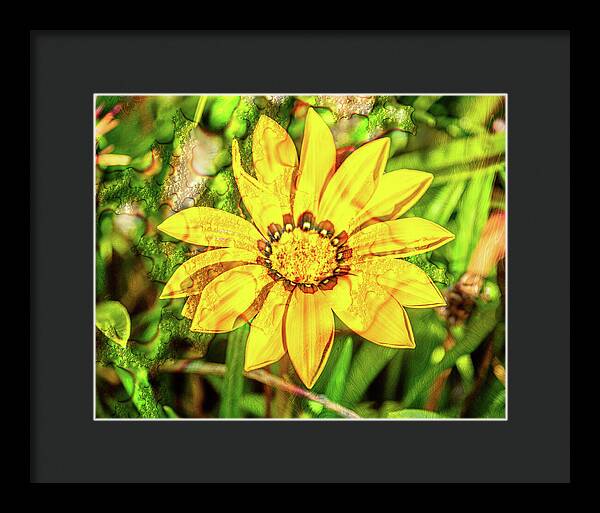Single Yellow Flower with Waterdrops Overlay - Framed Print