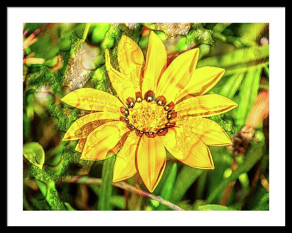 Single Yellow Flower with Waterdrops Overlay - Framed Print