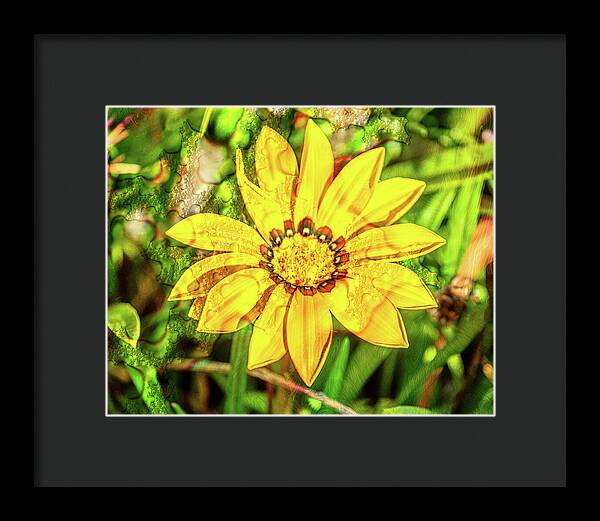 Single Yellow Flower with Waterdrops Overlay - Framed Print