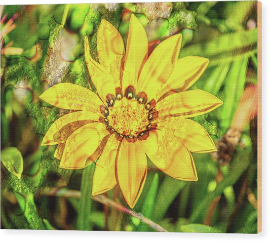 Single Yellow Flower with Waterdrops Overlay - Wood Print