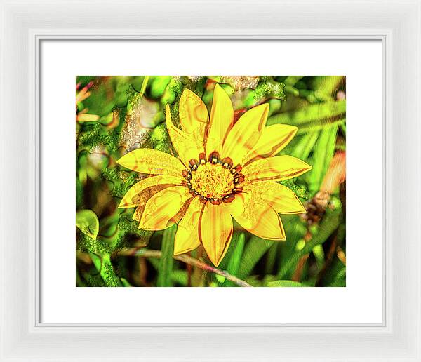 Single Yellow Flower with Waterdrops Overlay - Framed Print