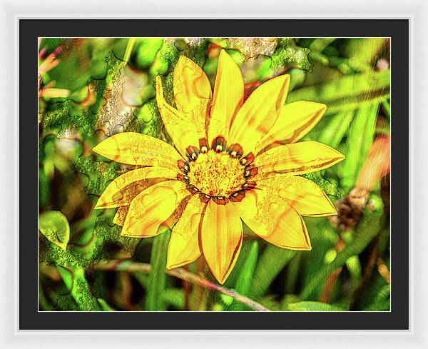 Single Yellow Flower with Waterdrops Overlay - Framed Print
