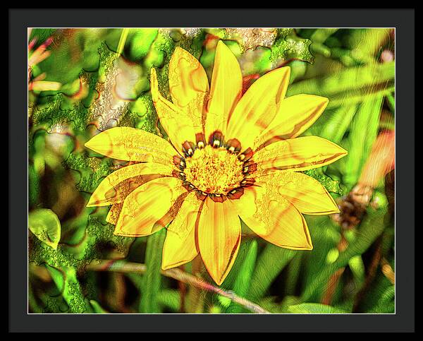 Single Yellow Flower with Waterdrops Overlay - Framed Print