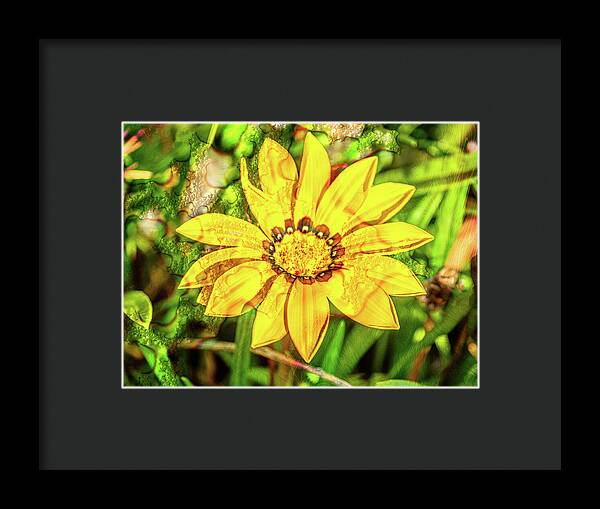 Single Yellow Flower with Waterdrops Overlay - Framed Print