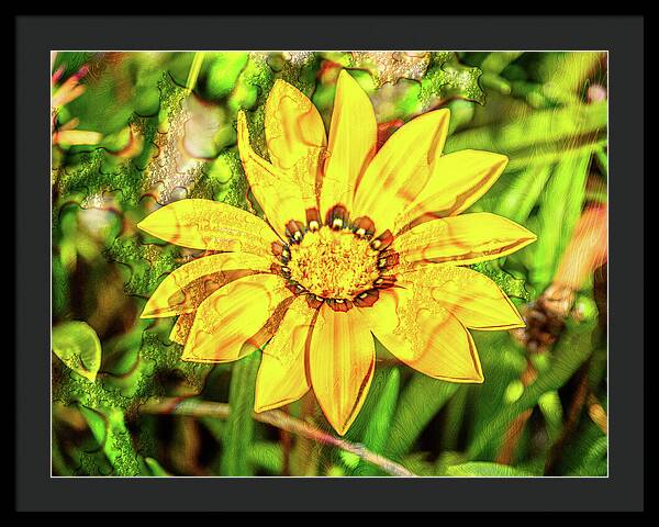Single Yellow Flower with Waterdrops Overlay - Framed Print