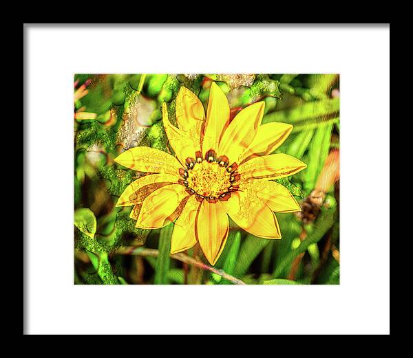 Single Yellow Flower with Waterdrops Overlay - Framed Print