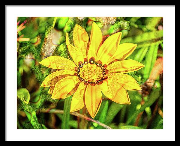 Single Yellow Flower with Waterdrops Overlay - Framed Print