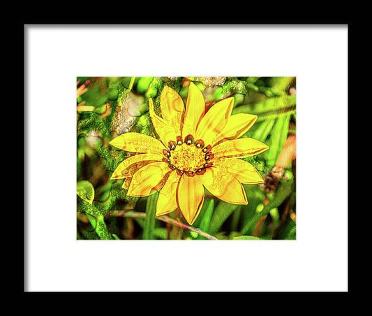 Single Yellow Flower with Waterdrops Overlay - Framed Print
